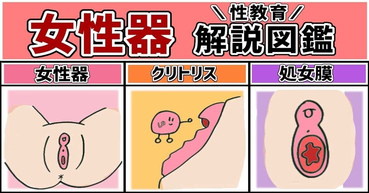 無修正 日本女性の外性器　処女膜 